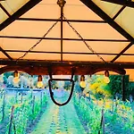 Borgo Il Bonagino Farma Radda in Chianti