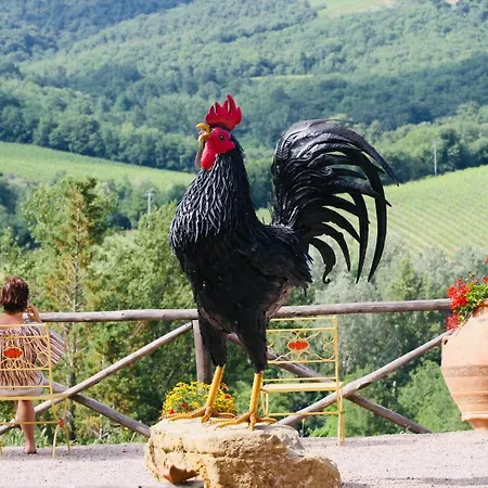 Borgo Il Bonagino Bauernhof Radda in Chianti