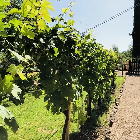 Séjour à la ferme Borgo Il Bonagino Radda in Chianti