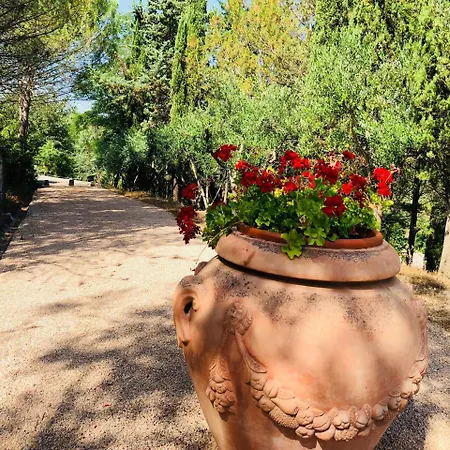 Borgo Il Bonagino